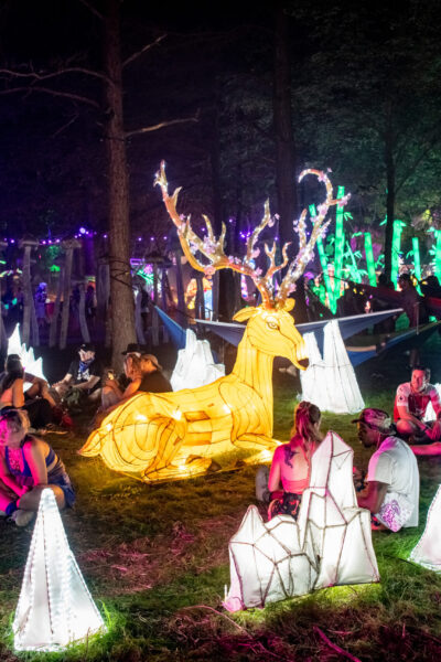Elements Festival 2022 Elements Festival Night time light up display forrest glowing dear people sitting