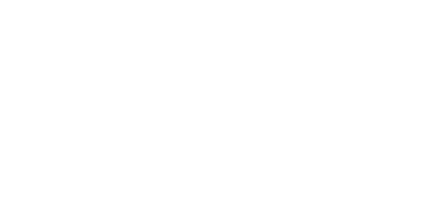 Noizu Logo